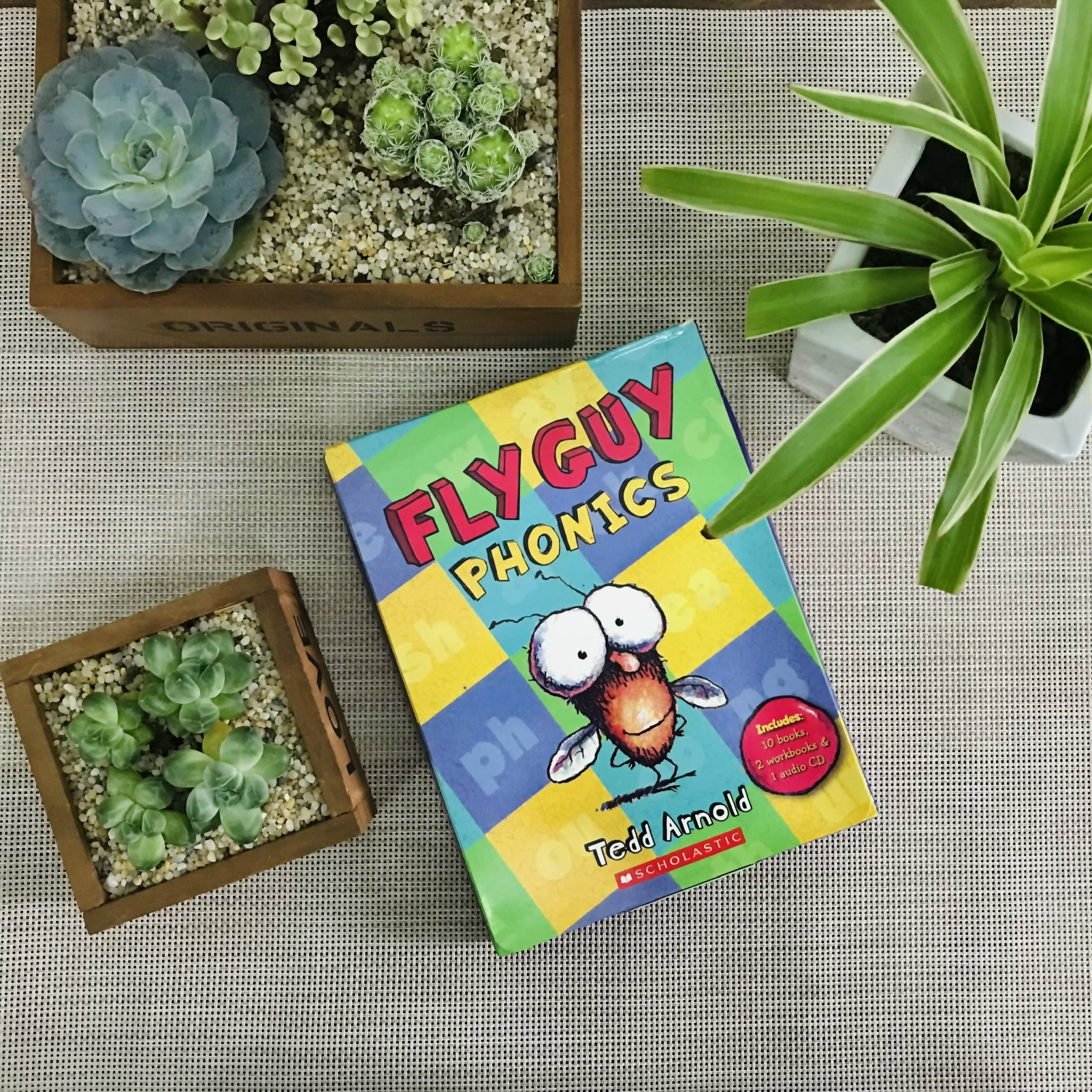 Fly guy phonics ( 10 Cuốn + 2 Cuốn bài tập)